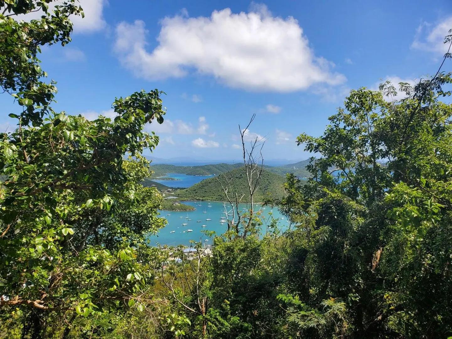 0.51 Acre Lot in Carolina, St. John — photo 5
