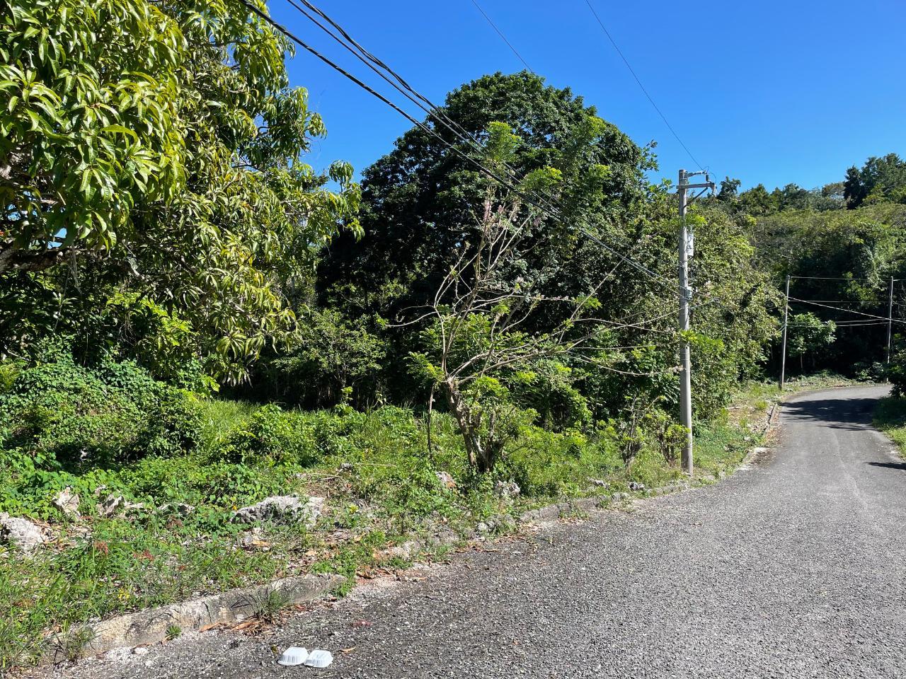 OCEAN RIDGE St. Mary Tower Isle Lot/Land — photo 2