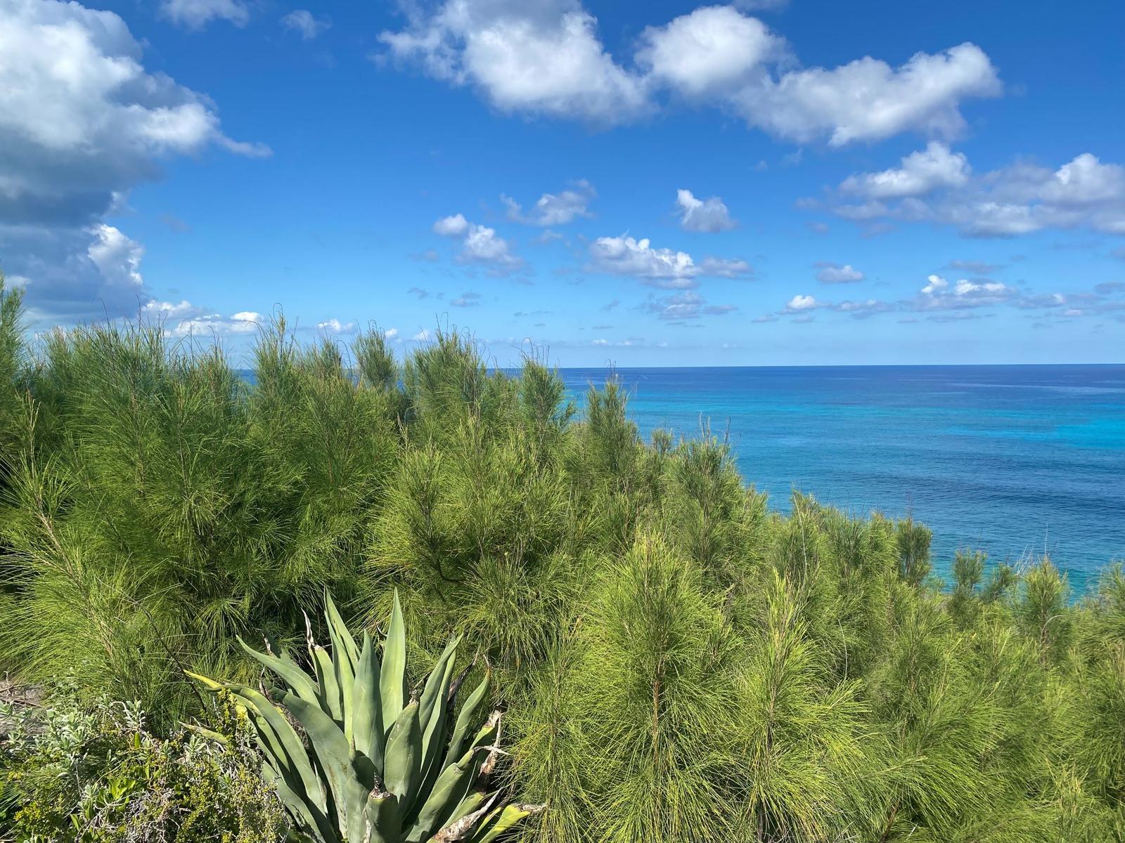 Vacant Land for sale - Lot 15, Block 20, Section B - MLS 65101 — photo 2