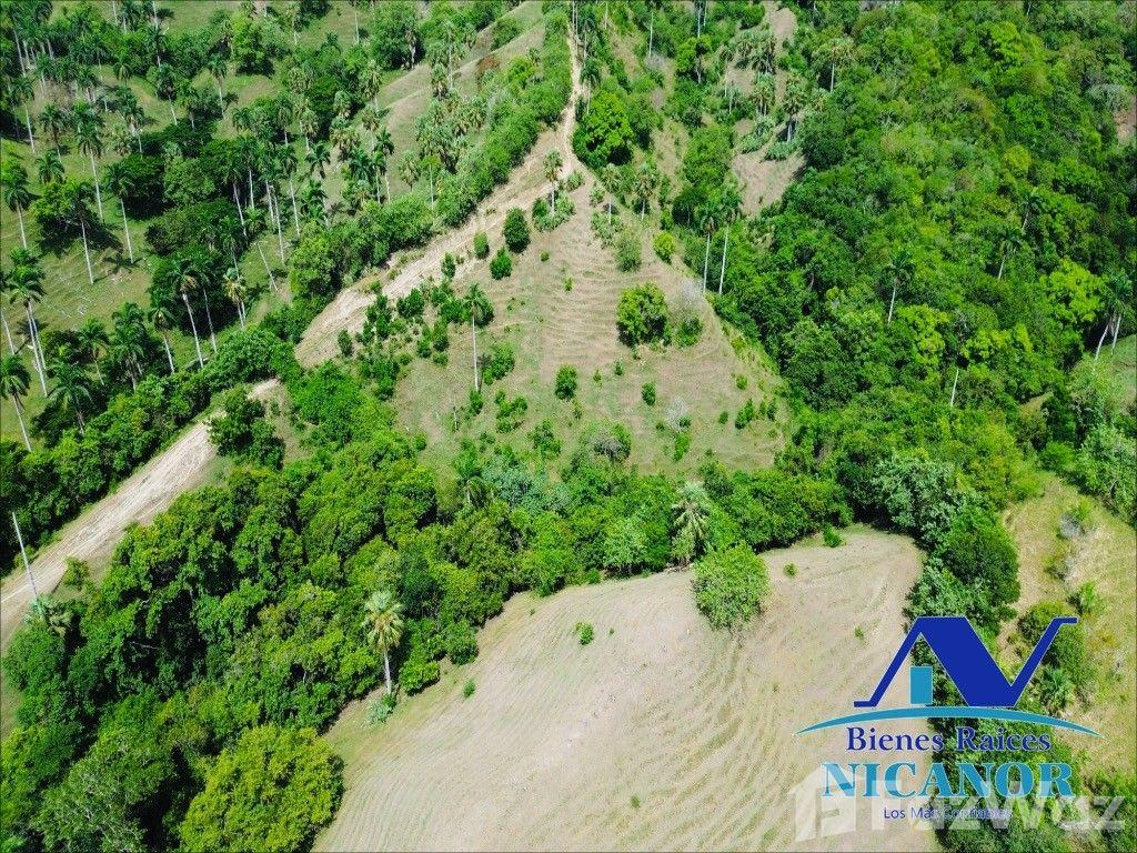 825 acre farm for sale in San Felipe De Puerto Plata, Dominican Republic — photo 5