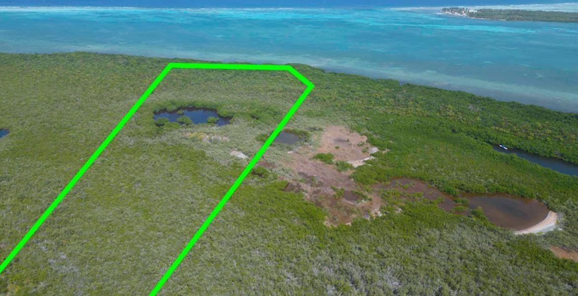 25 acres of Stunning Island Tranquility — Turneffe Island — photo 3