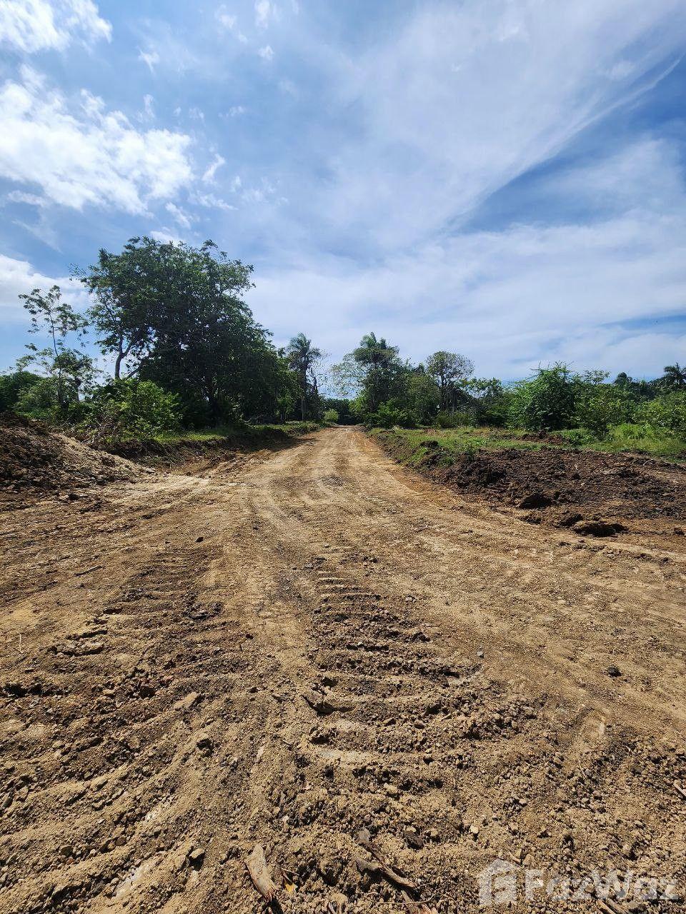 Land for sale in Muñoz, Puerto Plata — photo 2