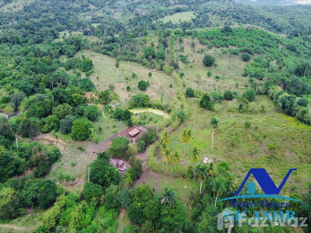 2,200 acres cattle farm for sale in Imbert — photo 3