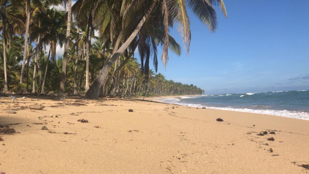 Land for sale near the beach in Las Terrenas — photo 2