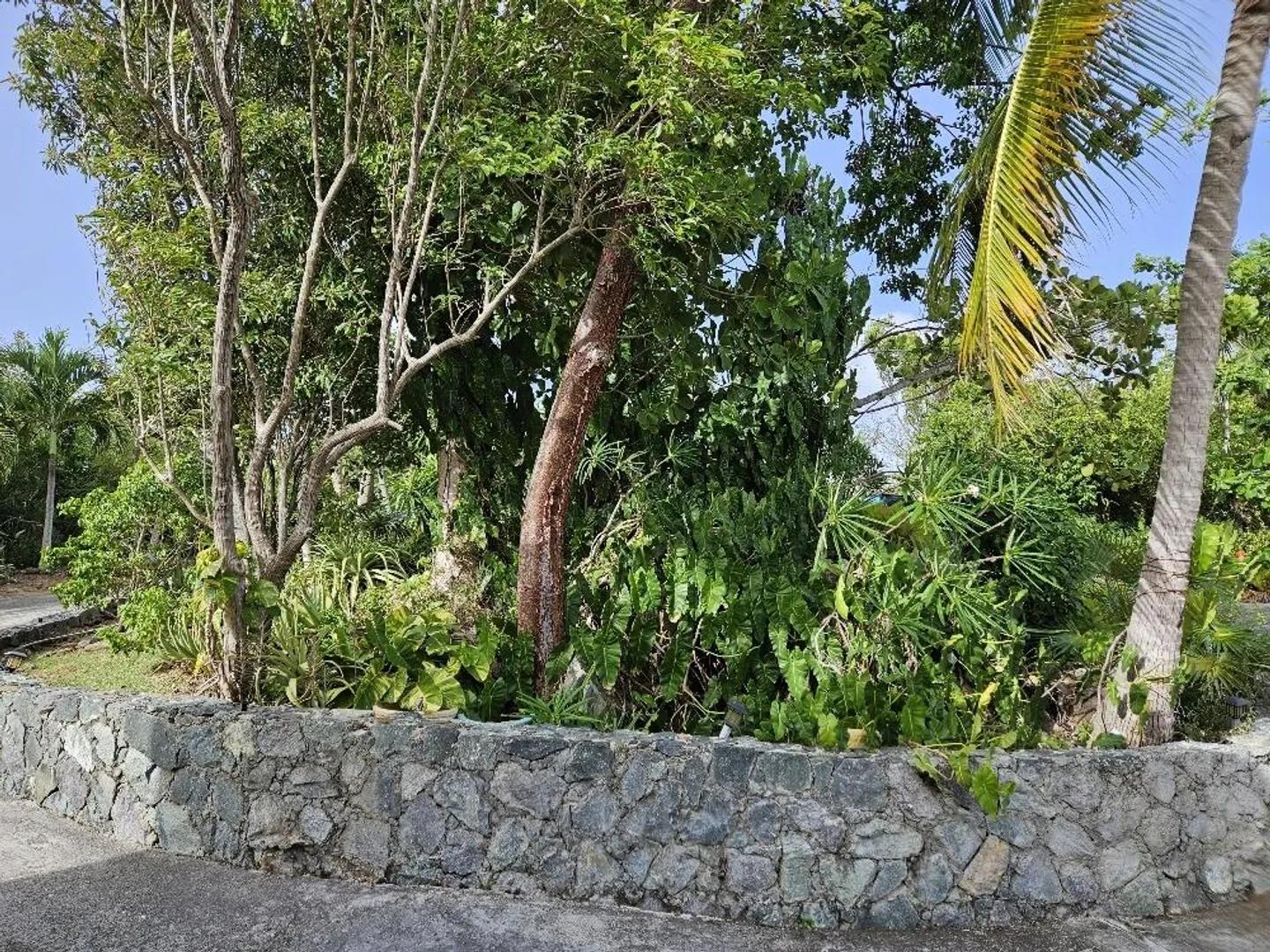 Fairwinds Villa - 3 Bed, 3.5 Bath Villa in Peterborg, US Virgin Islands — photo 3