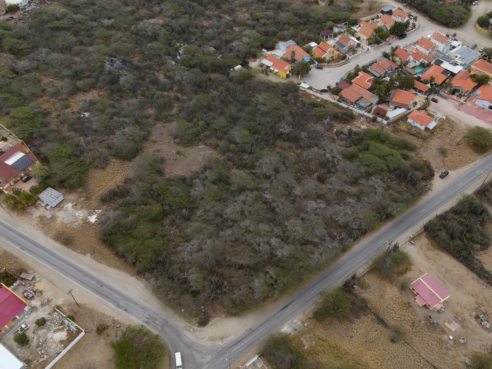 Full Ownership Land in Calbas (on Hold) — photo 3