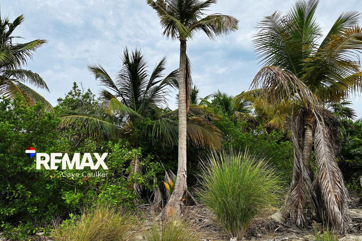 OCEANVIEW LOT NEAR BLISS BEACH — photo 5
