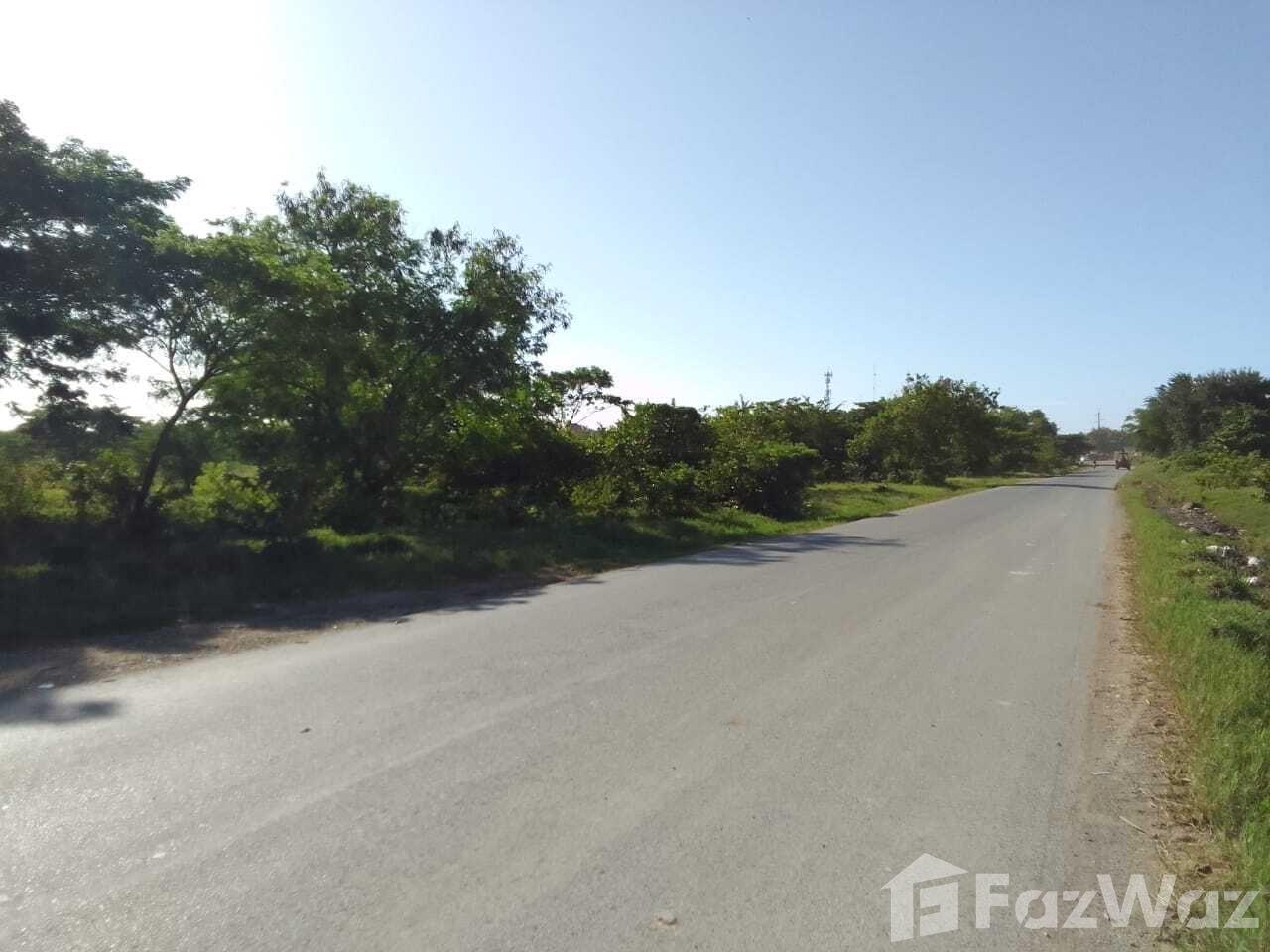 Mella Highway Land for Sale on San Luis intersection — photo 4