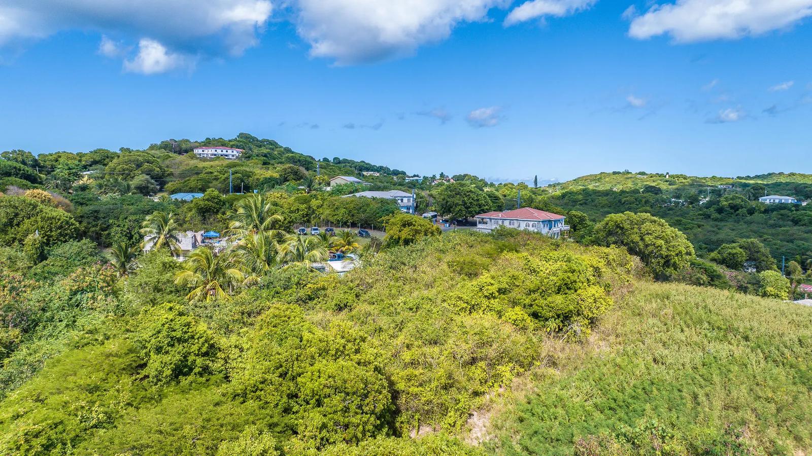 0.45 Acre Homesite Lot in US Virgin Islands — photo 5