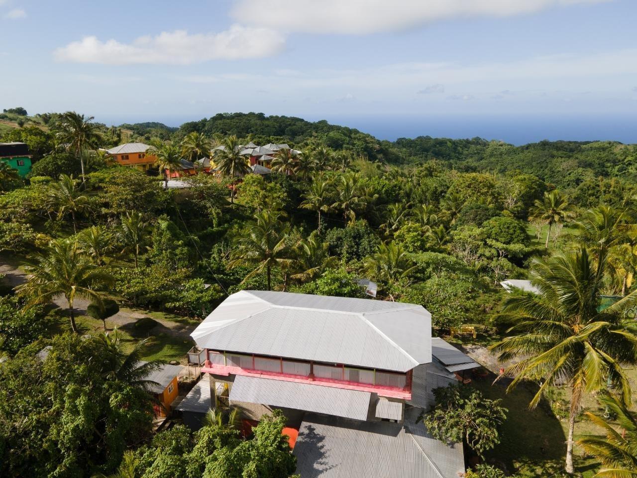 28 Acre Adventure Site & Guest House for Sale, Free Hill, St Ann, Jamaica — photo 4