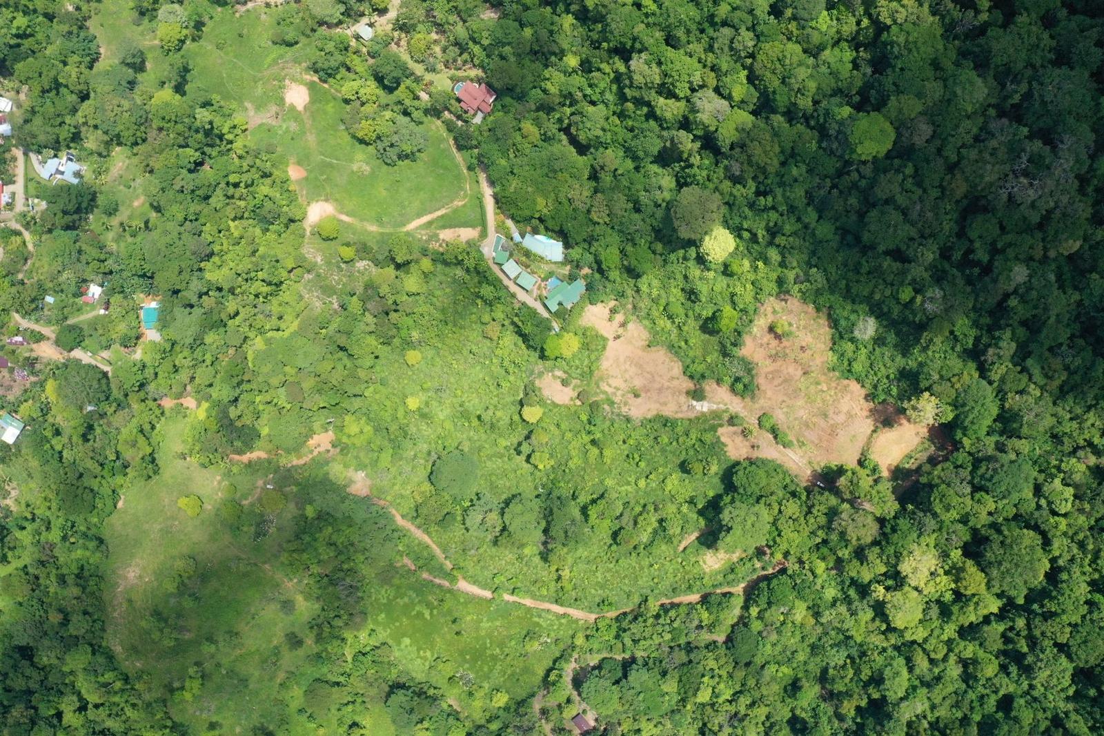 15.9 Acres of Development Land for Sale, Uvita, Puntarenas, Costa Rica — photo 3