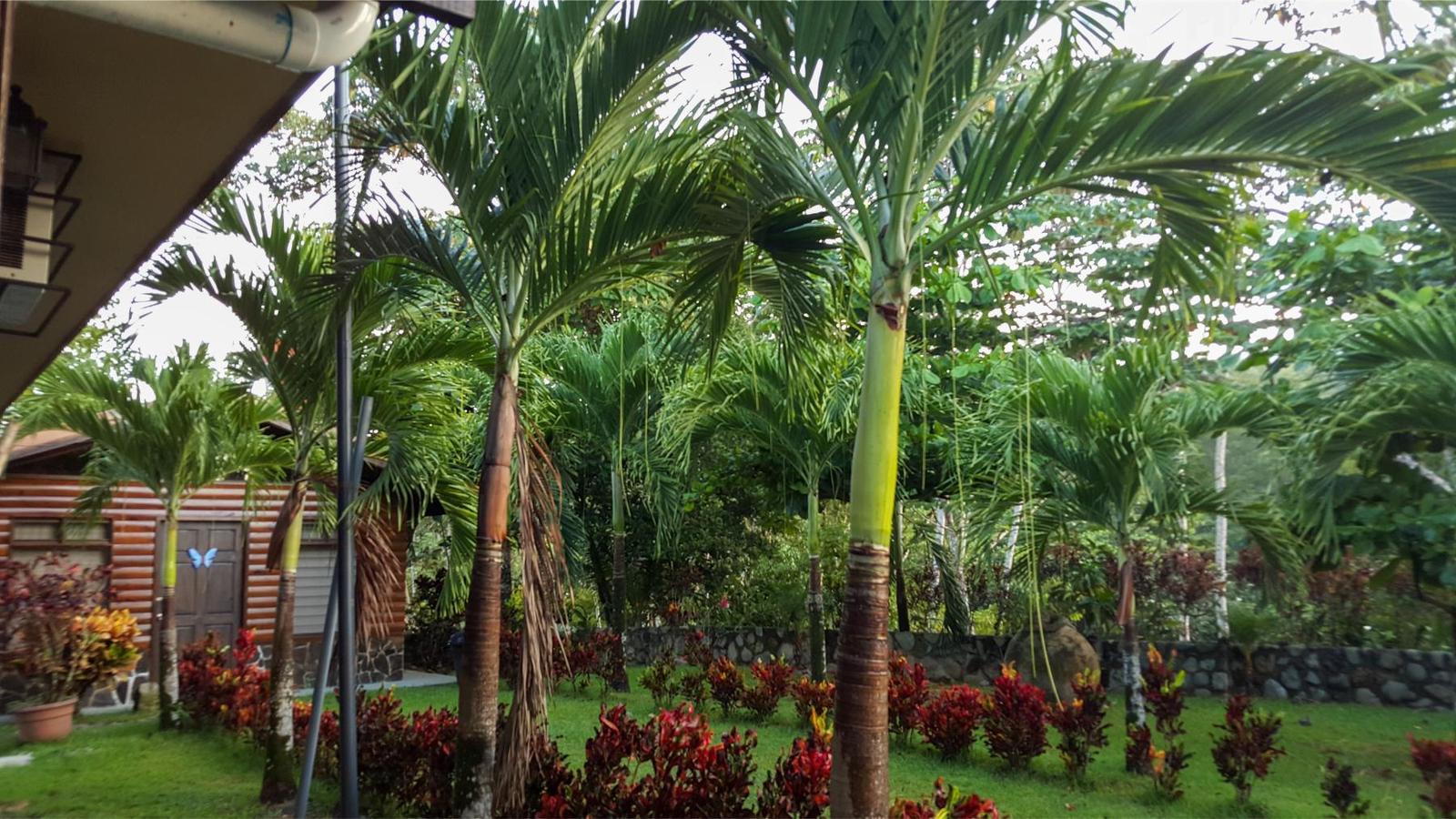 8-House Compound for Sale, Uvita, Puntarenas, Costa Rica — photo 4