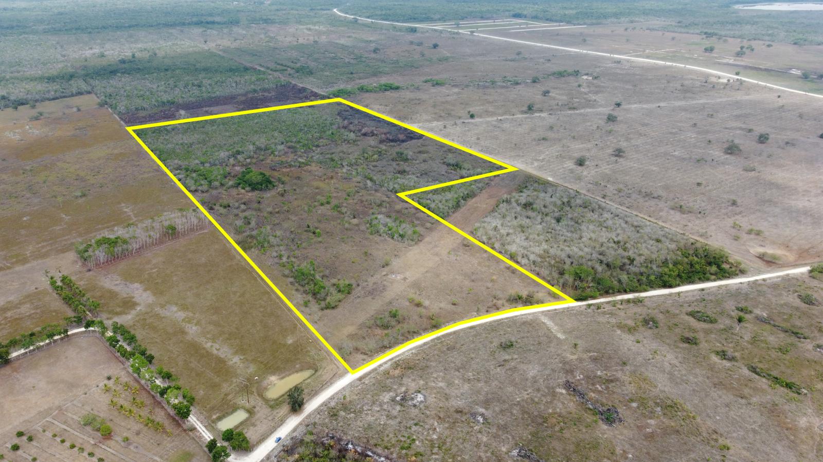 50 Acres with Road Frontage - 15 Minutes to Orange Walk Town — photo 1