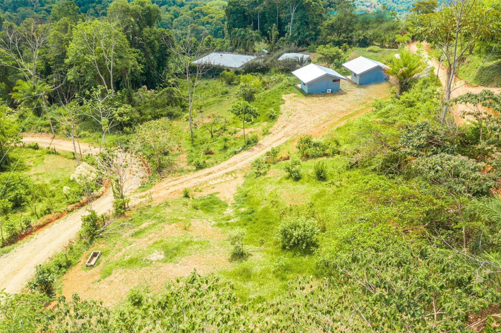 4.7 Acre Estate for Sale, Hills of Portalon, Manuel Antonio, Puntarenas, Costa Rica — photo 5