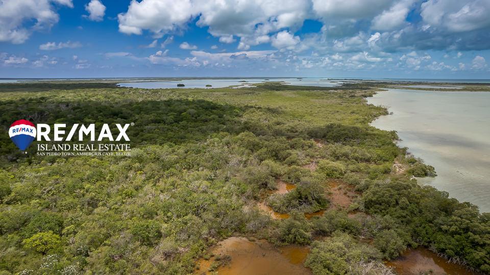 Ambergris Caye West Coast Beachfront Lots Near Secret Beach — photo 4
