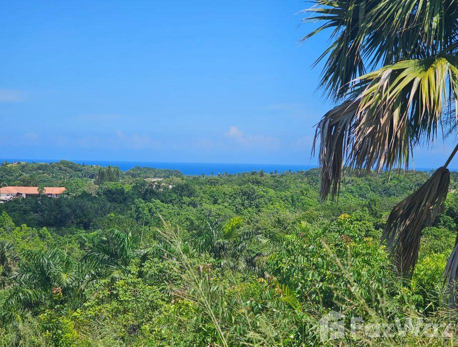 PANORAMA VILLAGE Amazing Ocean View LOT in Sosua, Puerto Plata, Dominican Republic — photo 2