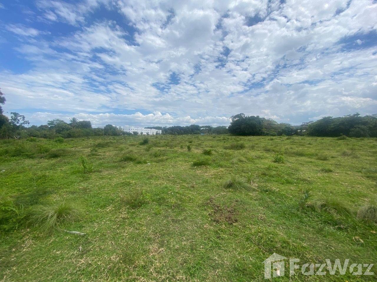 EXCLUSIVE INVESTMENT OPPORTUNITY IN MUÑOZ — photo 1