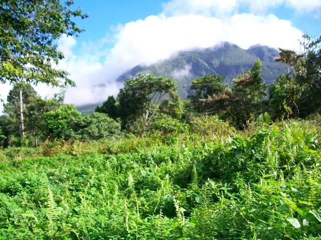 23 Acres of Pristine Land for Sale, Central Dominica — photo 2