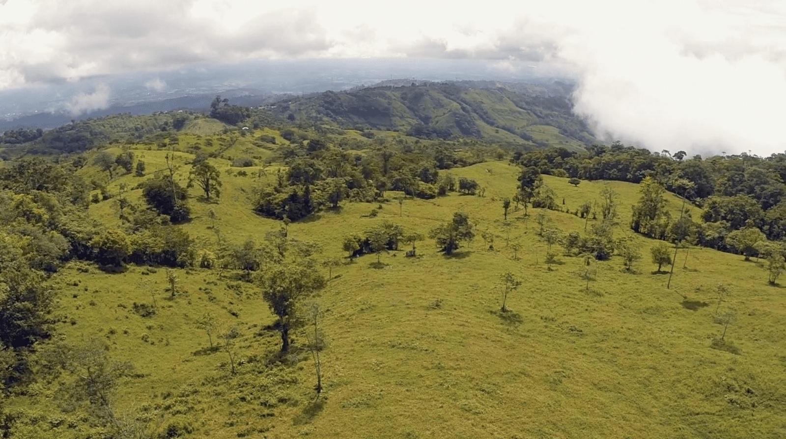 79 Acres of Farm Land for Sale, Uvita, Puntarenas, Costa Rica — photo 3