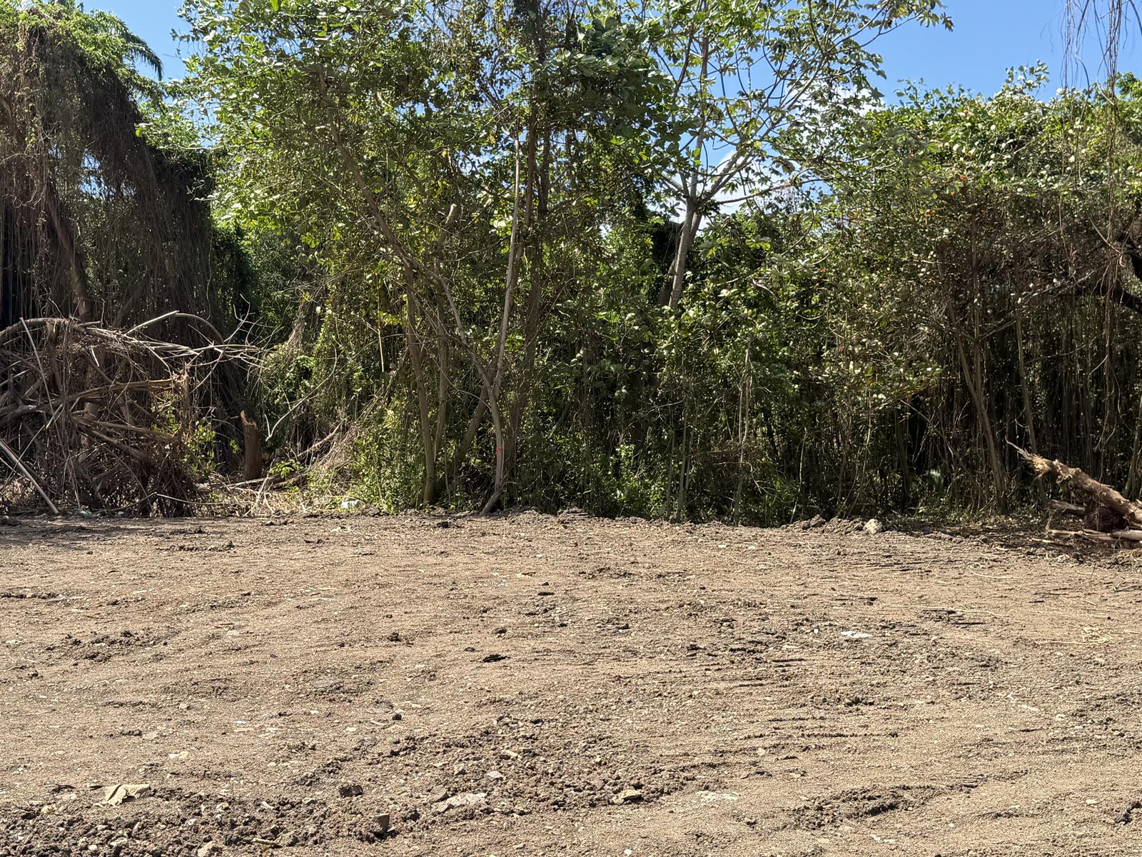 Corinth Commercial Opportunity Ideal for Warehouse or Light Industrial Use — photo 4