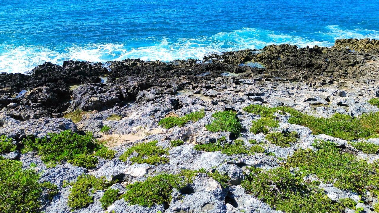 Orange Hill Westmoreland Negril — photo 1