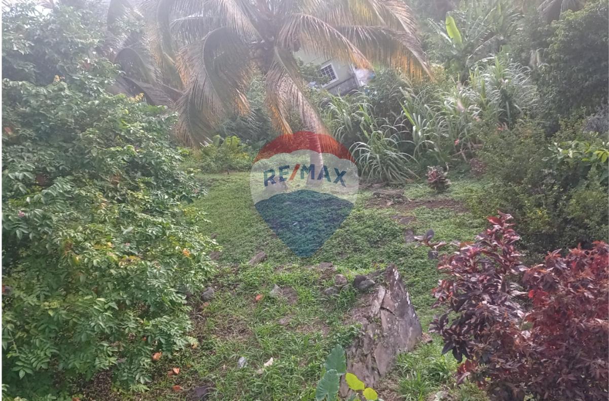 GOMEA RESIDENTIAL LOT — photo 3