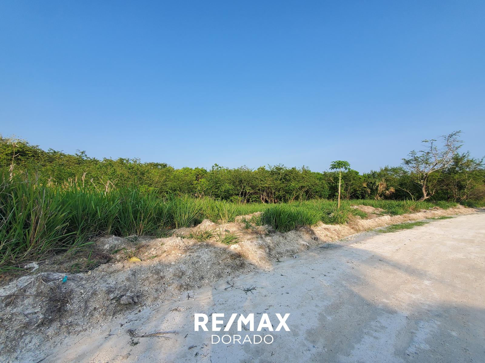 Development Land in Libertad Village, Corozal District — photo 3