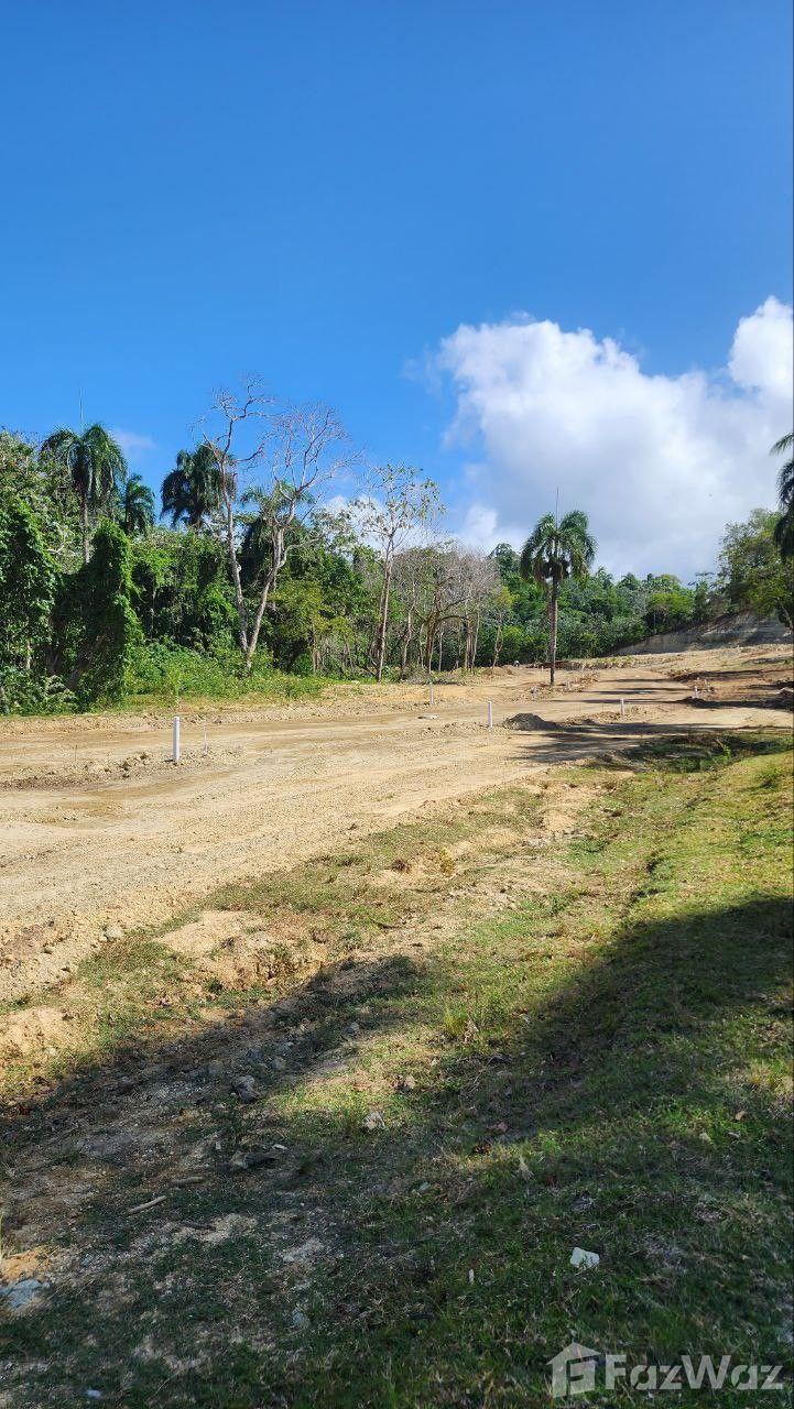 Residential Land for Sale in San Felipe De Puerto Plata — photo 5