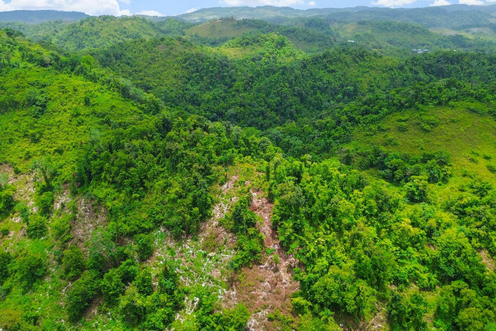 54 Acres of Development Land for Sale, Nonsuch, Portland, Jamaica — photo 2