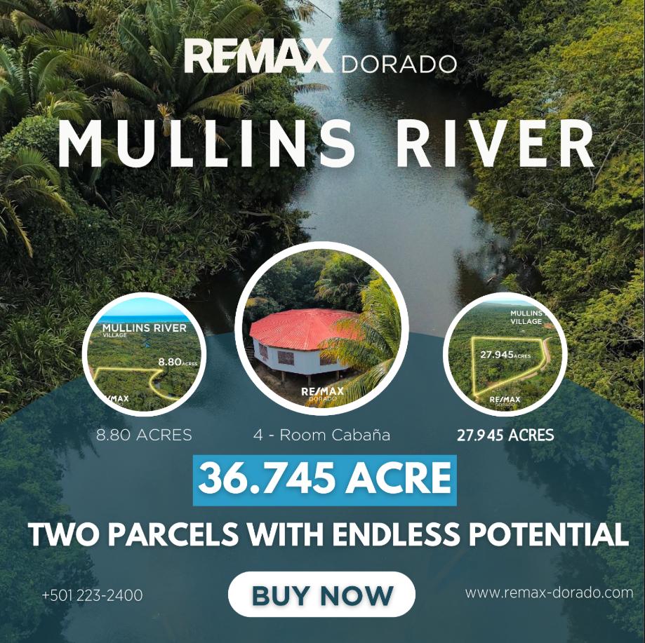 36.745 Acre Mullins River Stann Creek District — photo 1