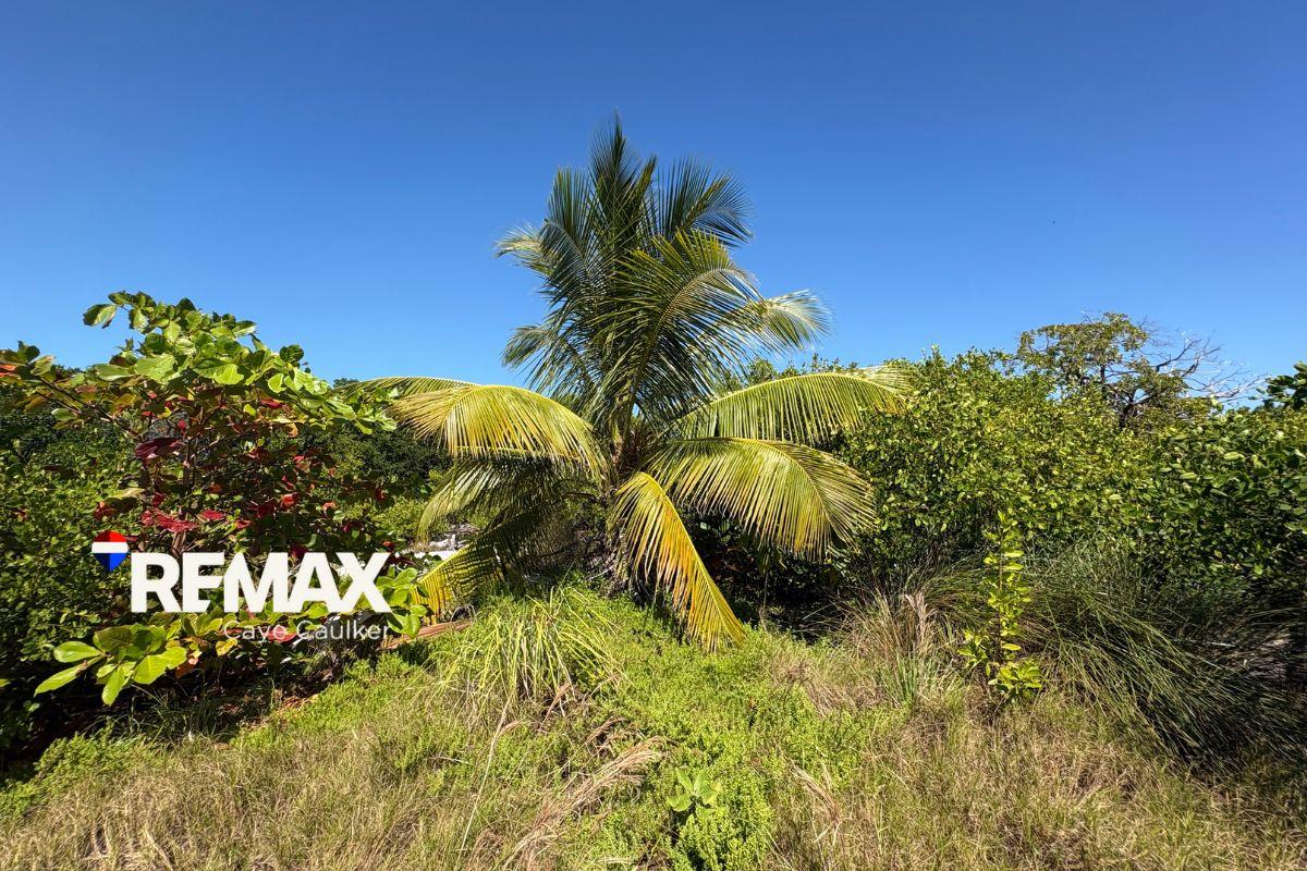 Oversized Off-Grid Lot at Mayan Sunrise — photo 3