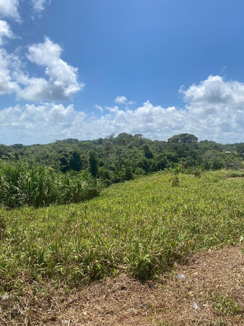 Mayaro Residential Land For Sale — photo 4