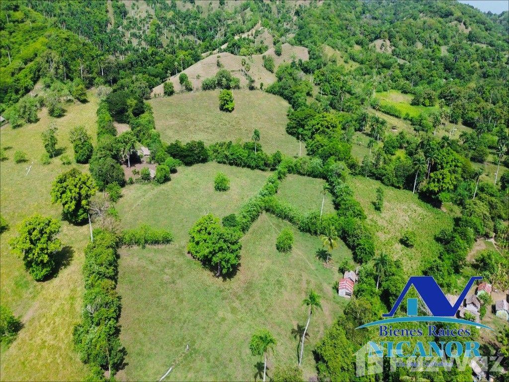825 acre farm for sale in San Felipe De Puerto Plata, Dominican Republic — photo 4