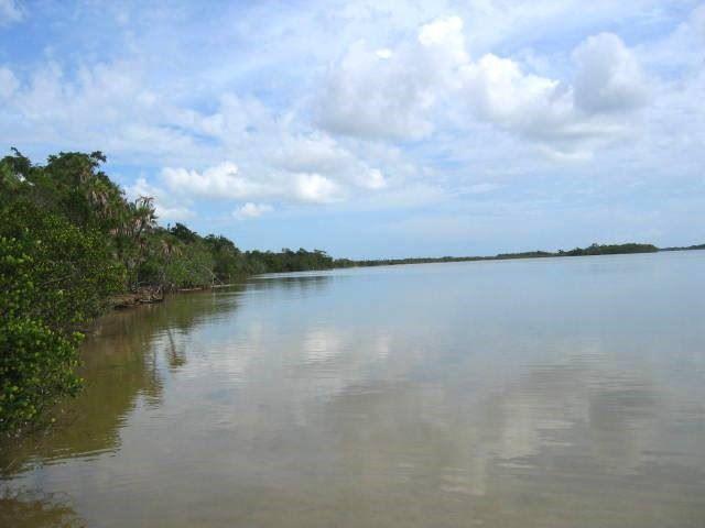 100 Acres Beachfront & Lagoon Front Land — photo 4