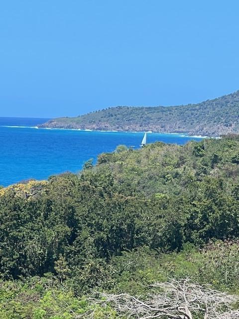 1 bedroom Condominium for sale in St. Thomas, VI — photo 4