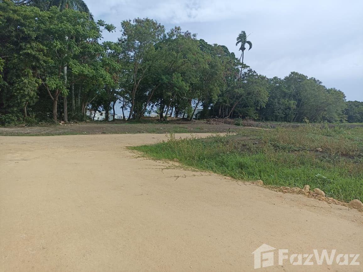 Land for sale in Plantation – Puerto Plata — photo 1
