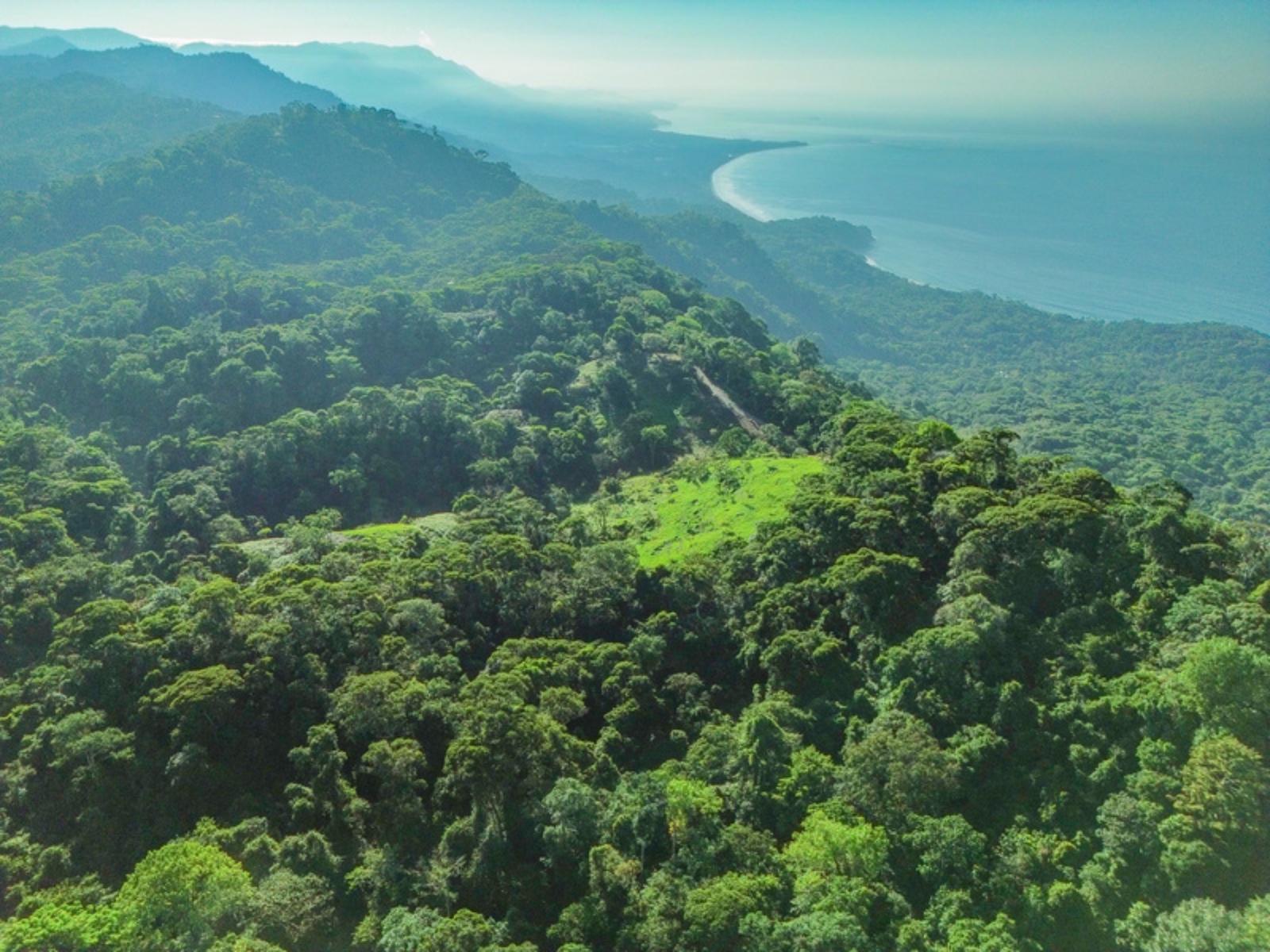 55 Acres of Ocean-View Land for Sale, Escaleras, Dominical, Puntarenas, Costa Rica — photo 2