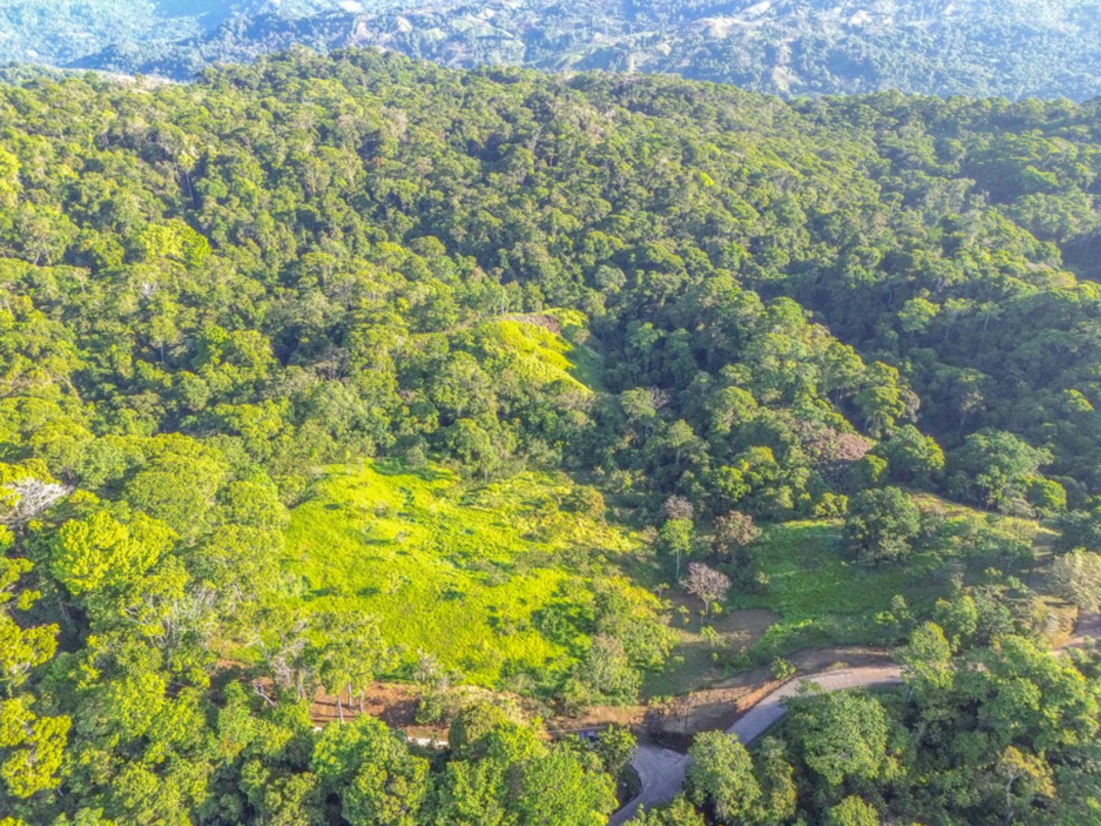 55 Acres of Ocean-View Land for Sale, Escaleras, Dominical, Puntarenas, Costa Rica — photo 5