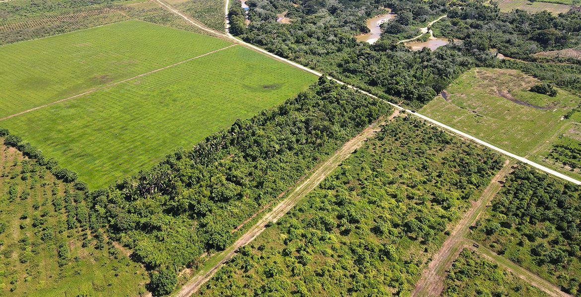 Exclusive Riverfront Jungle Retreat: 11 Acres on the North Stann Creek River — photo 3