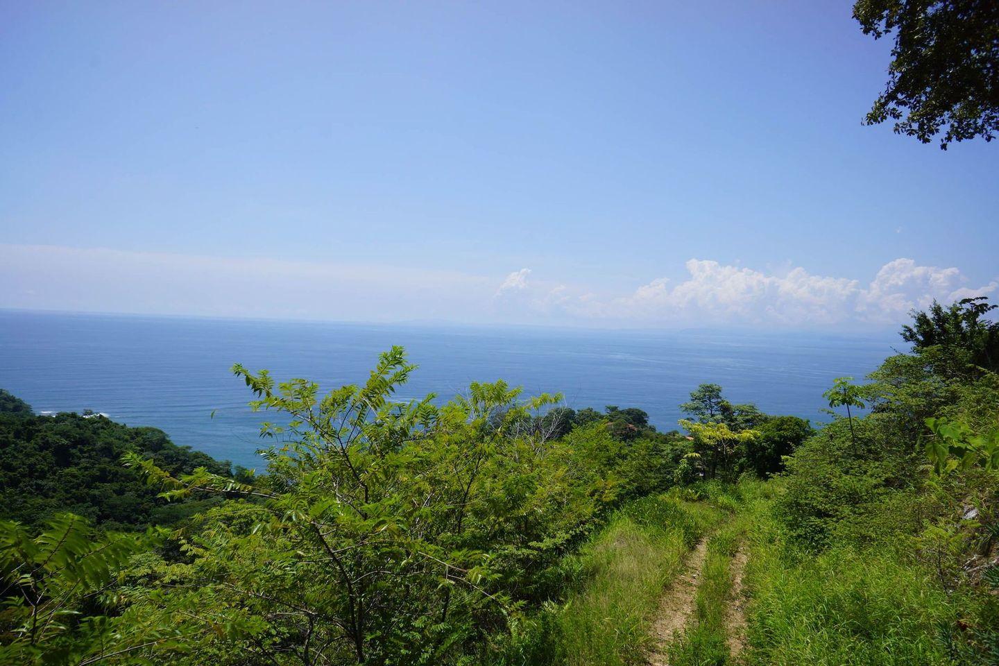 6.16 Hectares of Development Land for Sale — photo 3