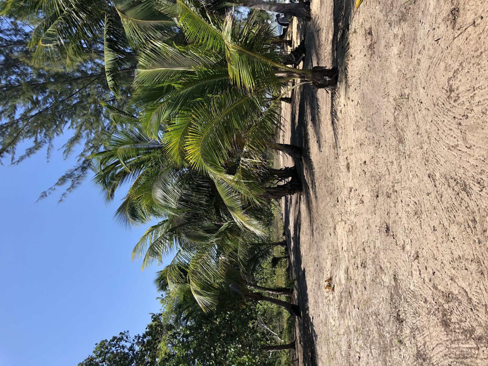Beach front off grid living — photo 4