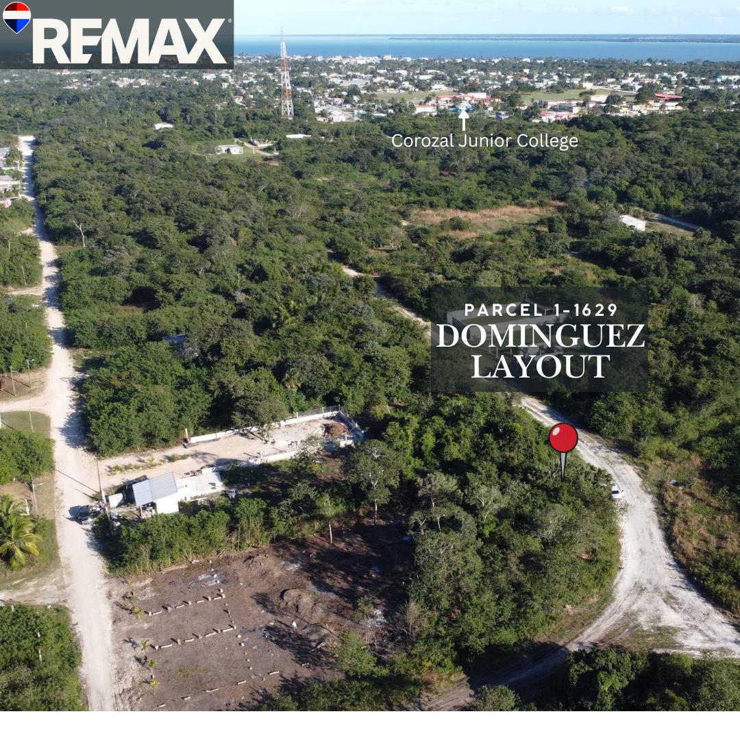 Land Opportunity – Venezuelan/Dominguez Layout, Corozal Town — photo 3