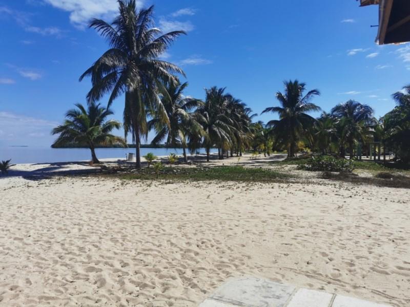 Beachfront Lot in the heart of Placencia Village — photo 1