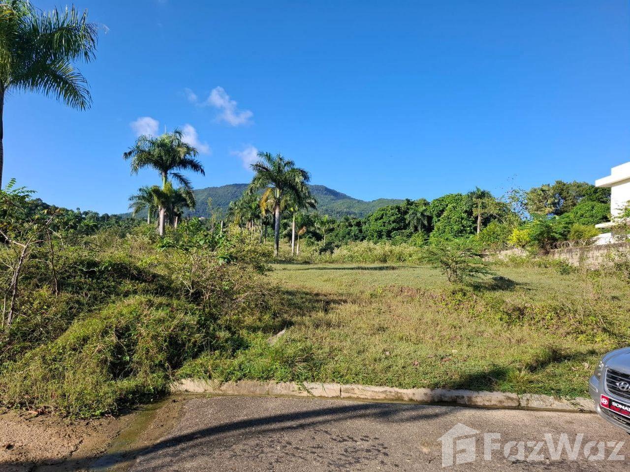 Residential Land Plot in Puerto Plata Residential, Dominican Republic — photo 3