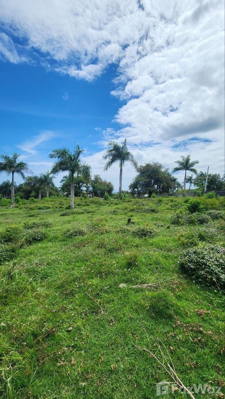 Invest in Nature, Exclusivity and the Future at El Cupey — photo 5