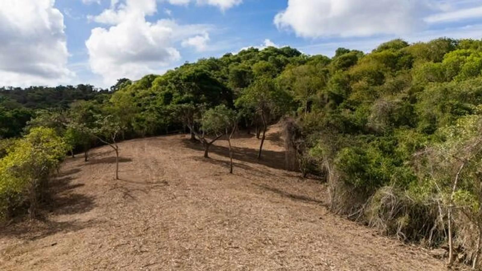 2.06 Acre Lot in St. Croix Rain Forest — photo 1