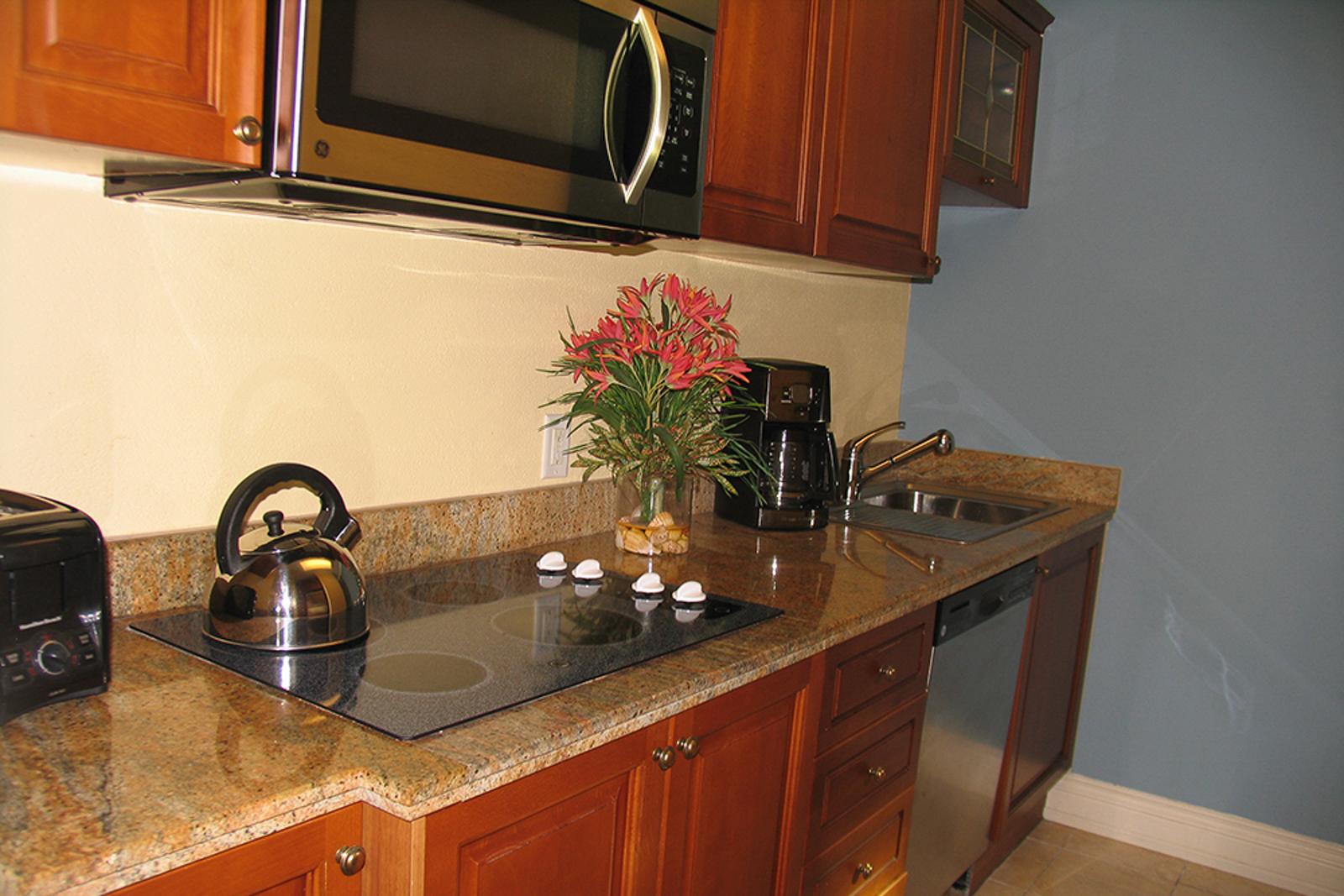 1 Bedroom Condo for Sale at St Kitts Marriott, Frigate Bay — photo 5