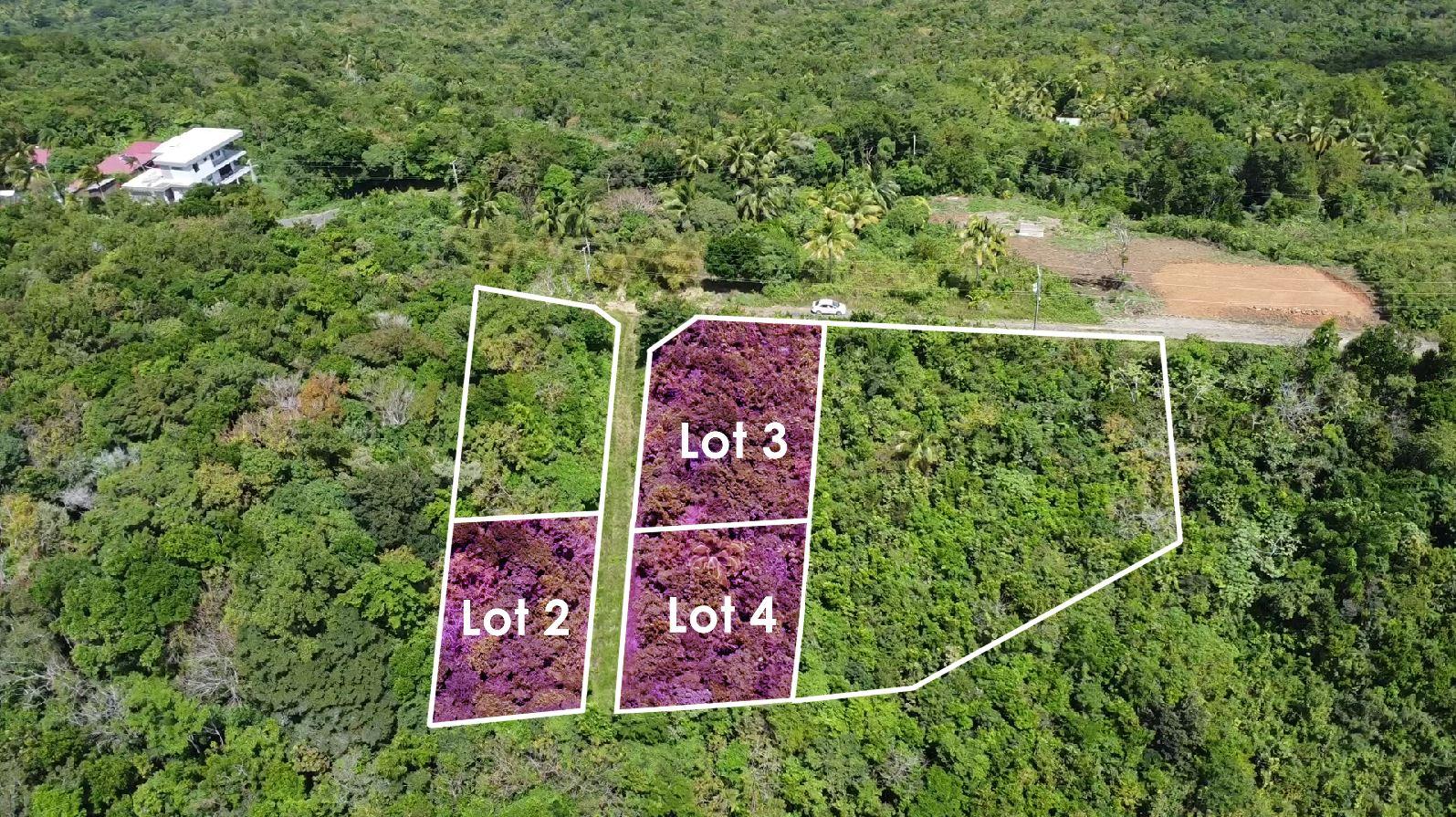 Gomier Heights Development – Breathtaking Lots in Mount Le Blanc, Laborie — photo 4