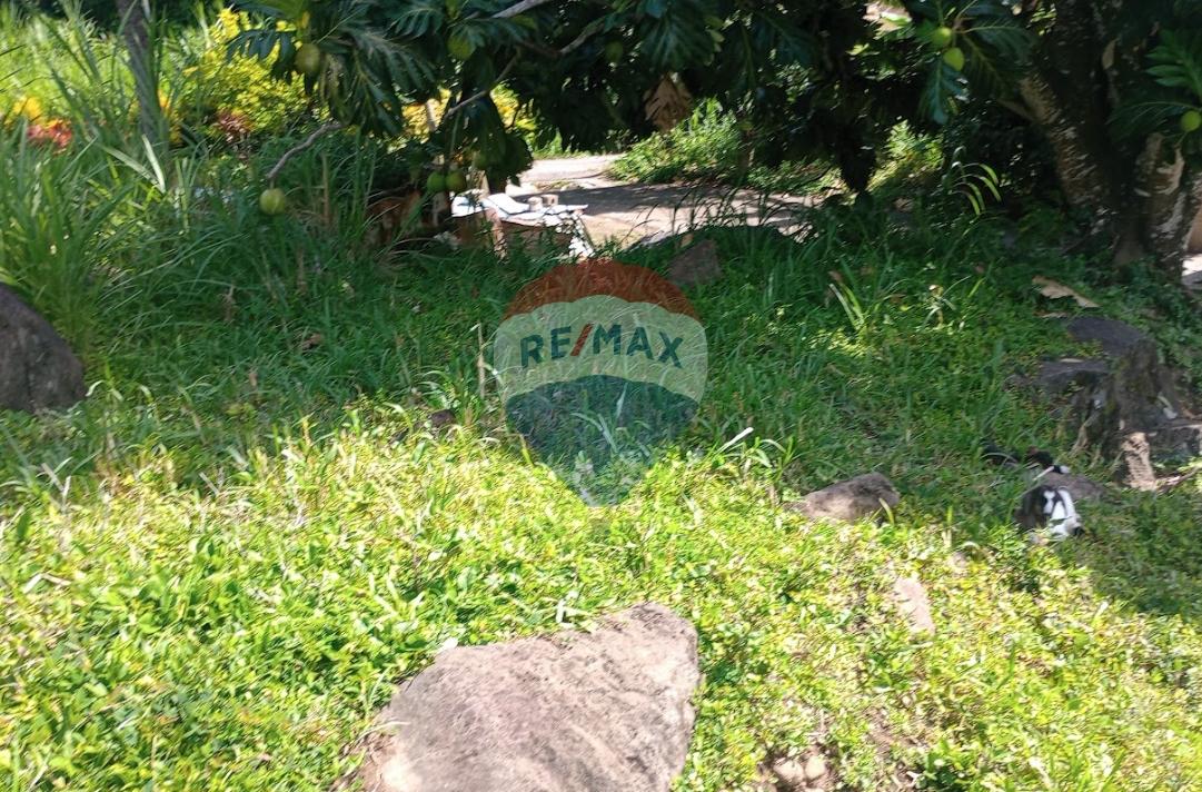 Residential Lot For Sale in Layou, St. Vincent — photo 4