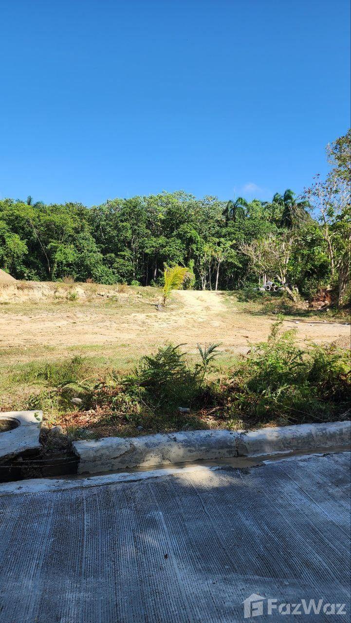 Residential land plot in San Felipe De Puerto Plata — photo 5